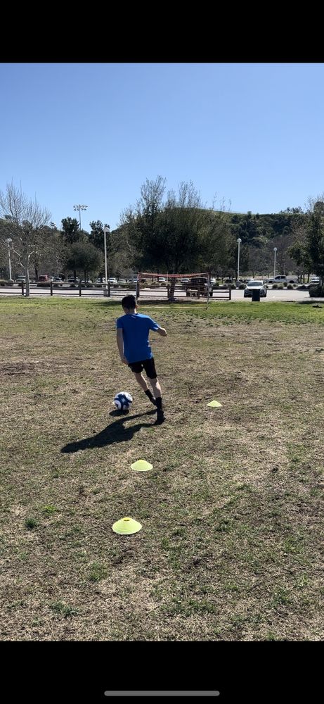 Alpha Soccer Training Logo