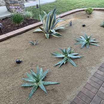 Water Saving Landscape - Landscaping Near Me