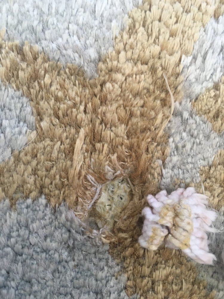 HADEED CARPET Updated September 2024 19 Photos & 188 Reviews 3206