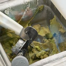 Subway - Brown/rotten lettuce and avocado