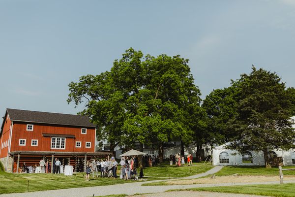 Zingerman's Cornman Farms by null