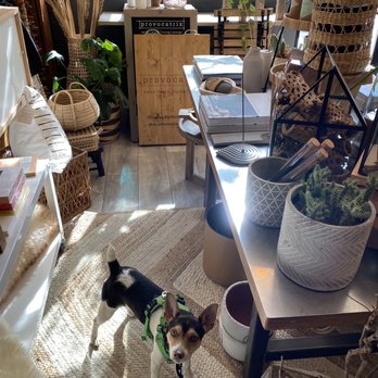 Provocatrix - Luna shopping - Interior Design Near Me - Snoqualmie, Washington Provocatrix - Luna shopping - Interior Design Near Me - Snoqualmie, Washington