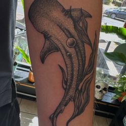 High Priestess Piercing & Tattoo - Whale shark tattoo by Clash.