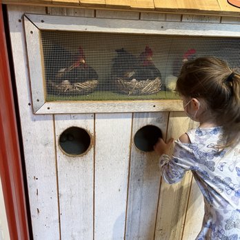 KidsQuest Children's Museum - Chicken coop. The chickens are fake, she checked. - Children's Museums Near Me - Bellevue, Washington