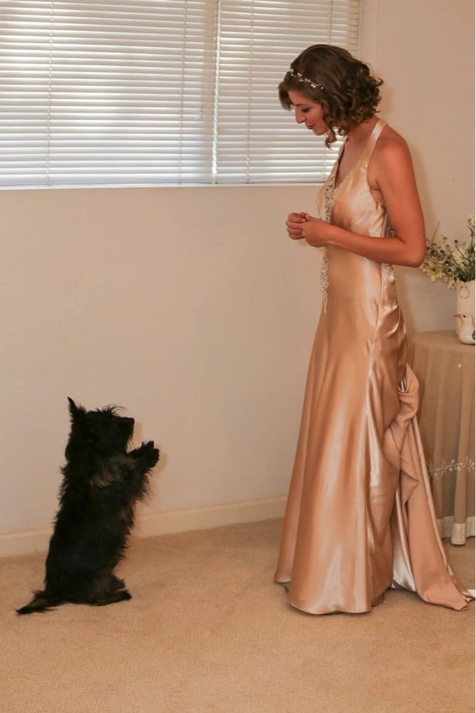 PAMPERED PETS GROOMING Updated September 2024 10 Reviews 14421