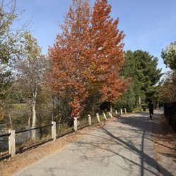 Fresh Pond