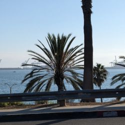 Long Beach - A look out into the Pacific Ocean