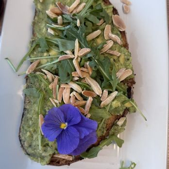 Toasted La Mesa - Avocado Toast - Breakfast & Brunch Near Me - La Mesa, California Toasted La Mesa - Avocado Toast - Breakfast & Brunch Near Me - La Mesa, California