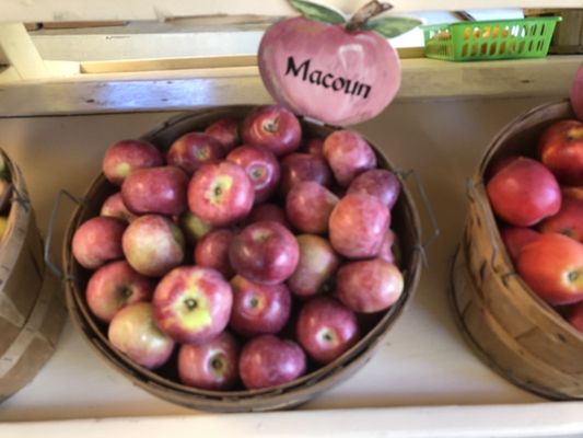 Augustine's Farm by null