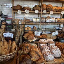 Wild Crumb