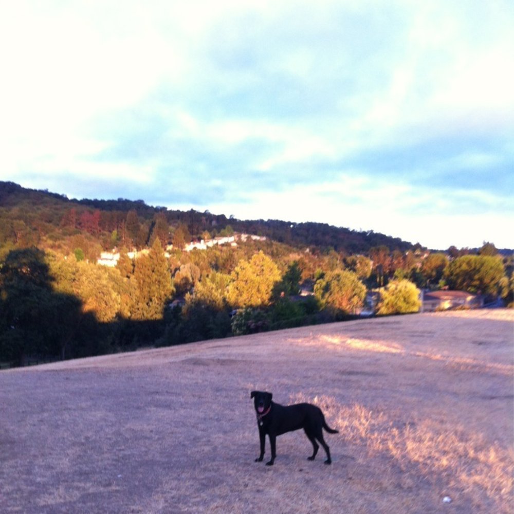 Almaden Meadows Park - Hiking Near Me - San Jose, California Almaden Meadows Park - Hiking Near Me - San Jose, California