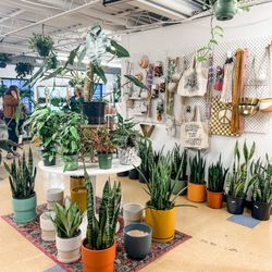 Ruby Flora Plant Shop
