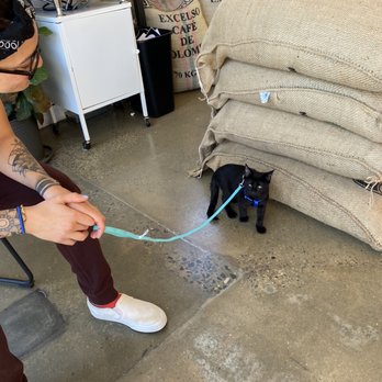 Ebru Coffee - My son. - Coffee Roasteries Near Me - Eagleville, Pennsylvania