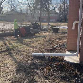 Jose's Trees Inc. - They cleaned up the work place no debris left at all. Thank you guys? - Tree Services Near Me