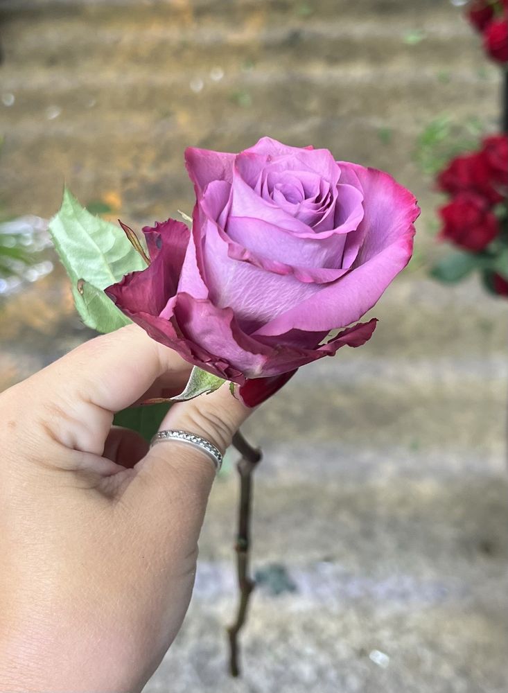 SANDY FLOWER SHOP Updated September 2024 55 Photos & 15 Reviews