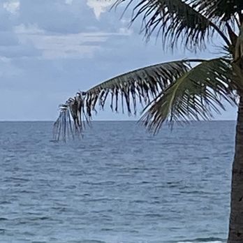 50 Ocean - View from outside deck - Seafood Near Me - Delray Beach, Florida 50 Ocean - View from outside deck - Seafood Near Me - Delray Beach, Florida