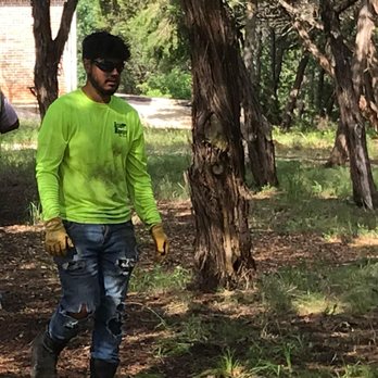 Texas Rainbow Tree Service - a man in a green shirt and work gloves - Tree Services Near Me Texas Rainbow Tree Service - a man in a green shirt and work gloves - Tree Services Near Me