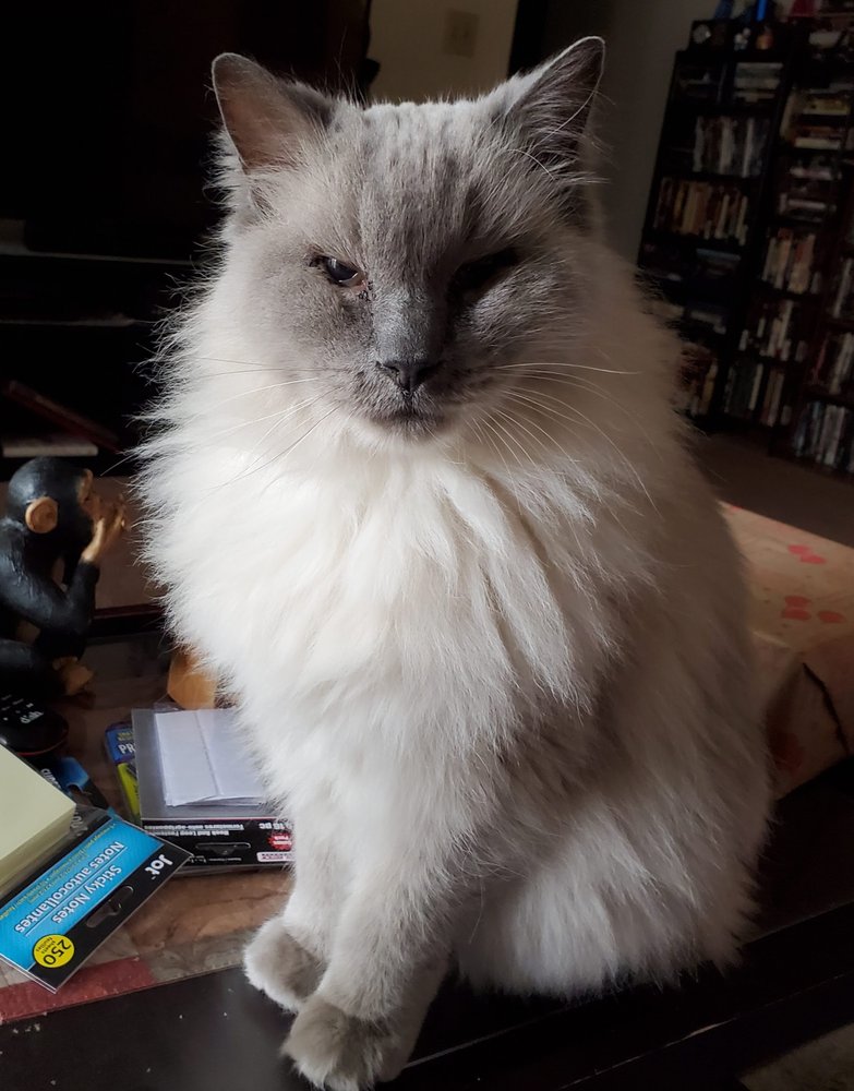 PUPPY TUB & MOTEL Updated September 2024 2419 52nd St, Kenosha