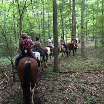 North Mountain Outfitter - Path in a forest - Guest Houses Near Me - Swoope, Virginia North Mountain Outfitter - Path in a forest - Guest Houses Near Me - Swoope, Virginia