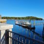 Photo of Brrrr! Harbor: Bar Harbor