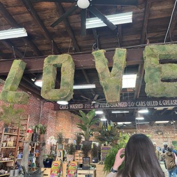 Urban Jungle - Nurseries & Gardening Near Me - Philadelphia, Pennsylvania Urban Jungle - Nurseries & Gardening Near Me - Philadelphia, Pennsylvania