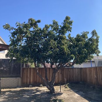 Ramos Jr Landscaping. - Landscaping Near Me Ramos Jr Landscaping. - Landscaping Near Me