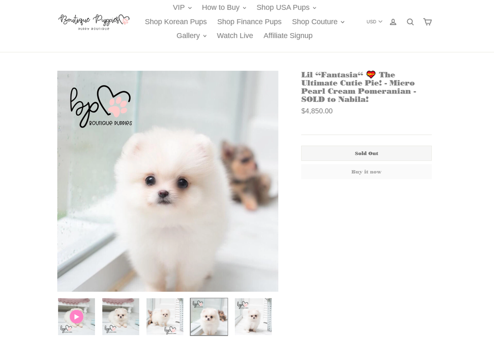 BOUTIQUE TEACUP PUPPIES Updated August 2024 12 Reviews 5850 San