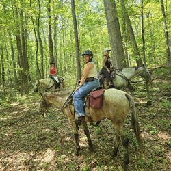 North Mountain Outfitter