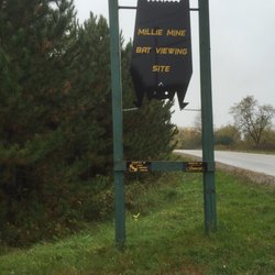 Millie Mine Bat Viewing Site - Cute sign