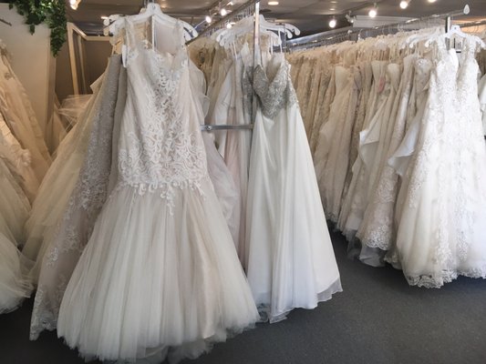 Lily's Bridal by null