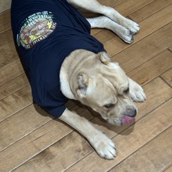 Covenant Pipeline Hydrojet