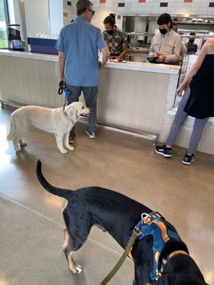 Go Get Em Tiger by null