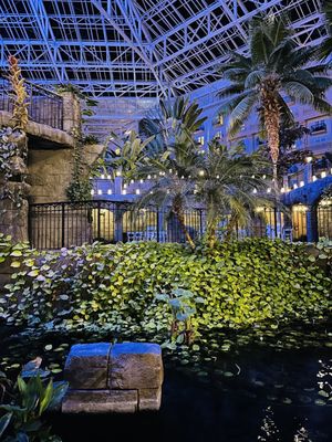 Gaylord Palms Resort & Convention Center by null