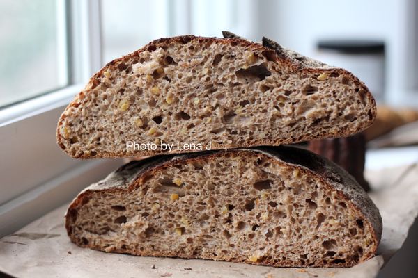 Lost Bread Co. by null