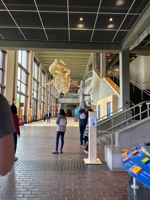 Grand Rapids Public Museum by null