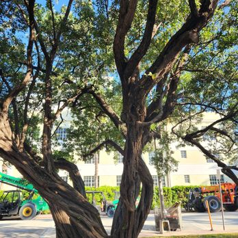 36th Street Park - Foliage everywhere - Parks Near Me - Miami Beach, Florida