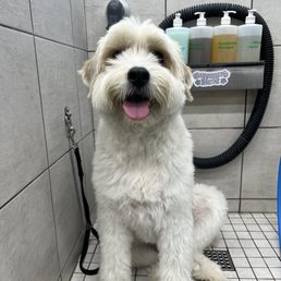Ready for a bath! Ready for a bath!