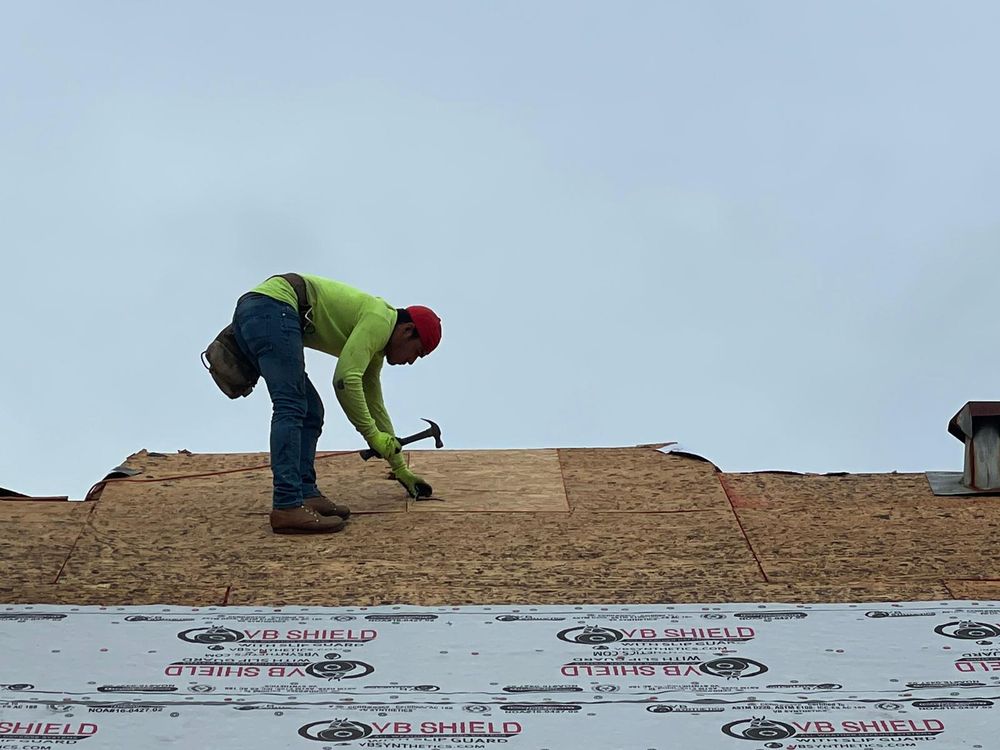 Slide of Ibrahim Roofer