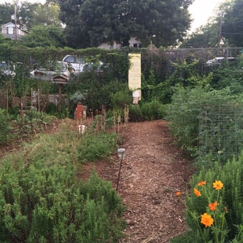 Home Grown - Garden behind the restaurant - Diners Near Me - Atlanta, Georgia Home Grown - Garden behind the restaurant - Diners Near Me - Atlanta, Georgia