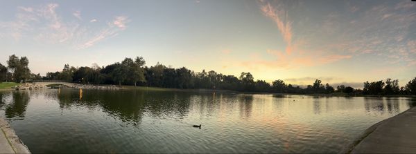 William R Mason Regional Park by null