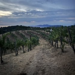 I. Brand & Family Tasting Room