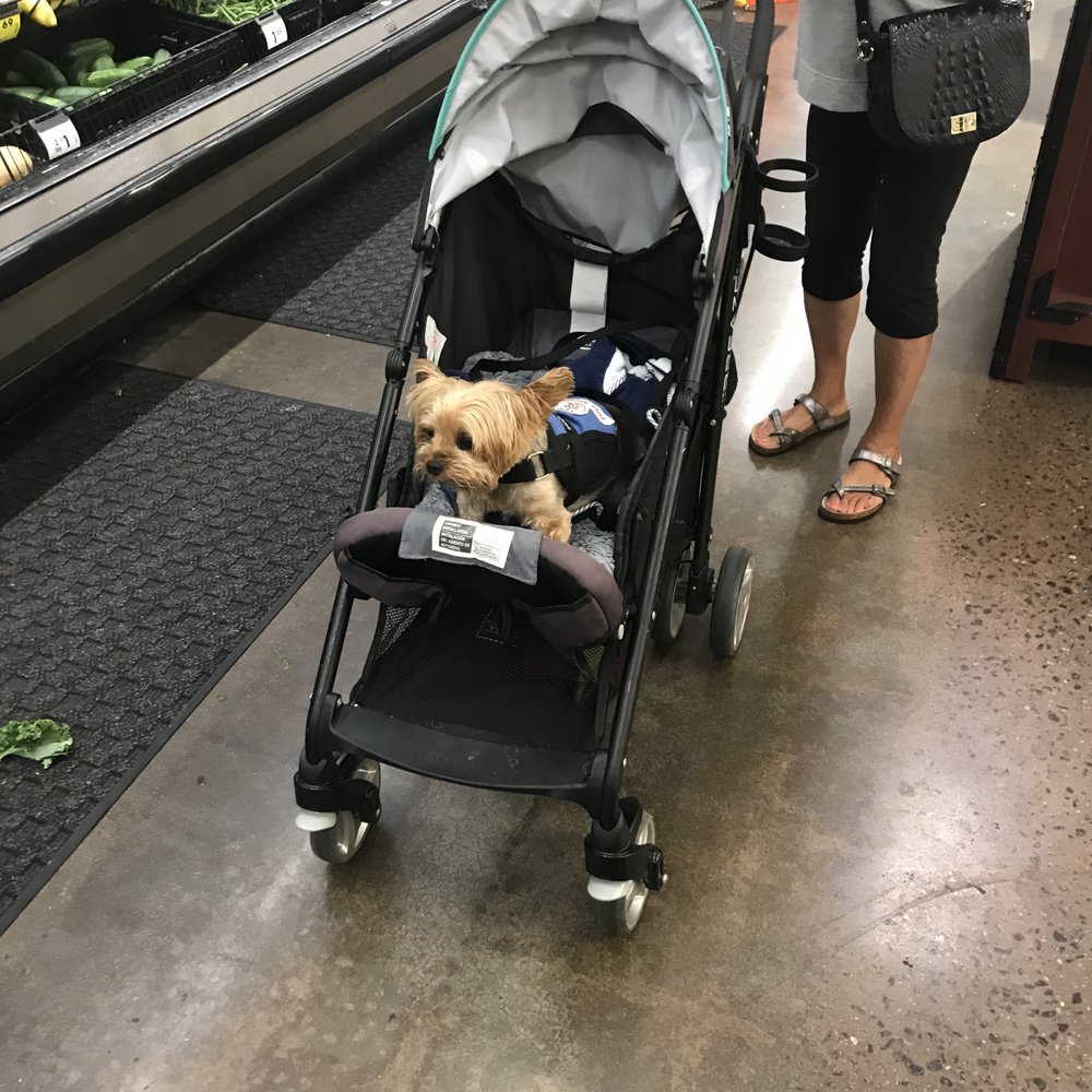 Kroger - a woman pushing a stroller with a dog in it - Grocery Near Me - Acworth, Georgia