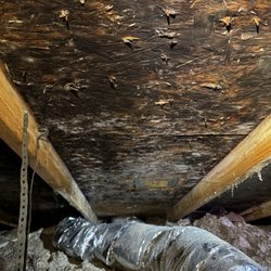 Advantage Roofing & Exteriors - More mold in my attic