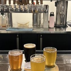 Motion Craft Brewed - Flight