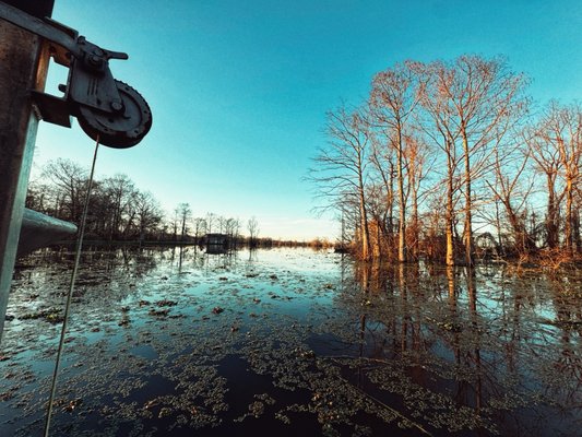 Turtle’s Bar & Grill by null