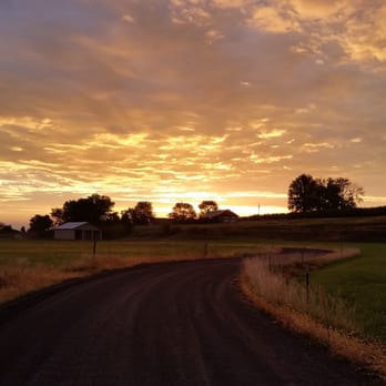 Sun Valley Equine Hospital - Sunrise at the clinic entrance at 1451 S. 96th Ave - Veterinarians Near Me - Selah, Washington Sun Valley Equine Hospital - Sunrise at the clinic entrance at 1451 S. 96th Ave - Veterinarians Near Me - Selah, Washington
