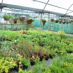 Crooklands Garden Center
