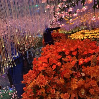 Imaginarium 360 - Decor - Festivals Near Me - Milpitas, California