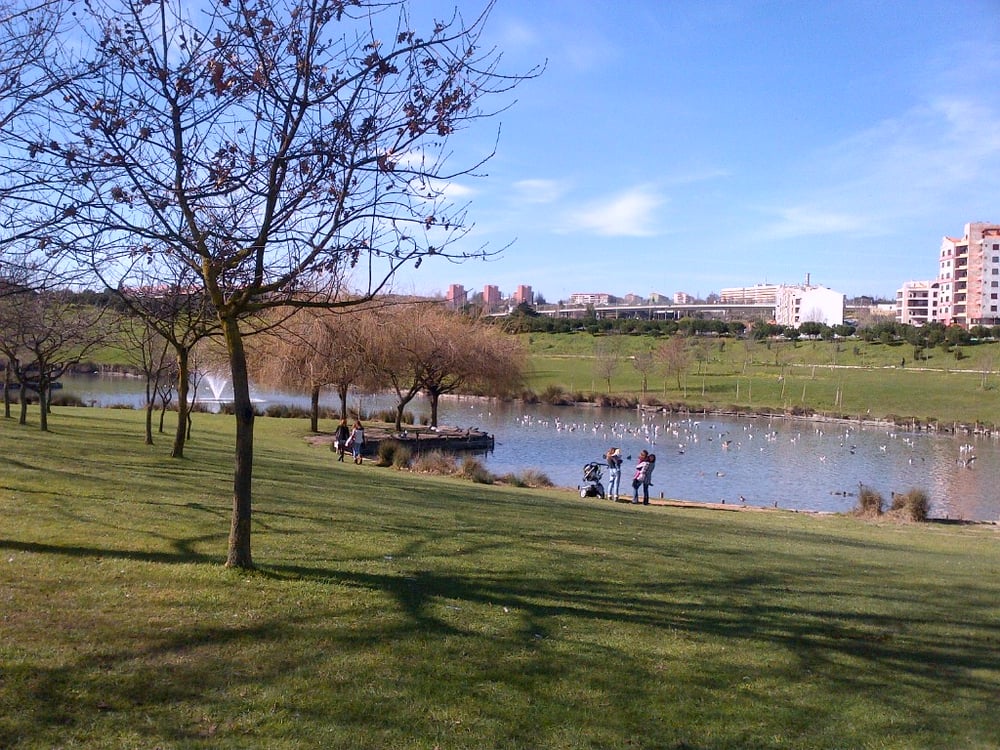 Parque da Paz