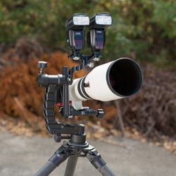 ProMediaGear - Carbon Fiber Tripod with Katana Gimbal Head Telephoto Lens.